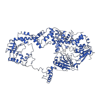 20440_6ppj_A_v1-2
Cryo-EM structure of AdnA(D934A)-AdnB(D1014A) in complex with AMPPNP