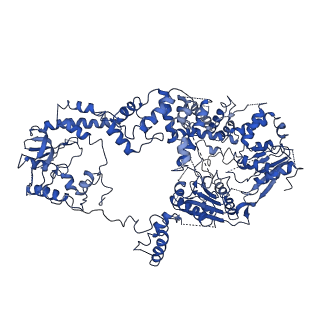 20440_6ppj_A_v1-3
Cryo-EM structure of AdnA(D934A)-AdnB(D1014A) in complex with AMPPNP