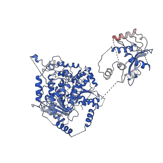 20440_6ppj_B_v1-2
Cryo-EM structure of AdnA(D934A)-AdnB(D1014A) in complex with AMPPNP