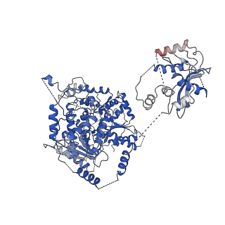 20440_6ppj_B_v1-3
Cryo-EM structure of AdnA(D934A)-AdnB(D1014A) in complex with AMPPNP