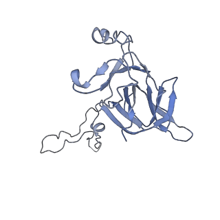 20441_6ppk_D_v1-3
RbgA+45SRbgA complex