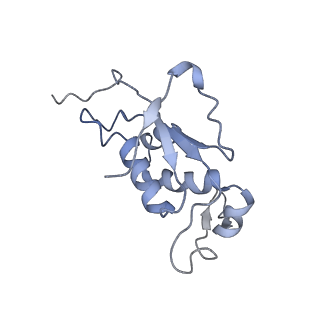 20441_6ppk_J_v1-3
RbgA+45SRbgA complex