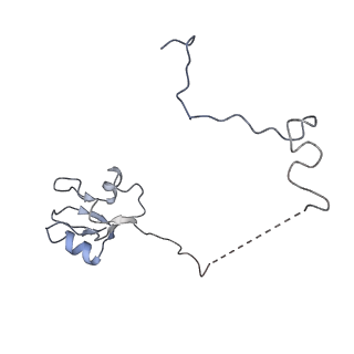 20441_6ppk_L_v1-3
RbgA+45SRbgA complex