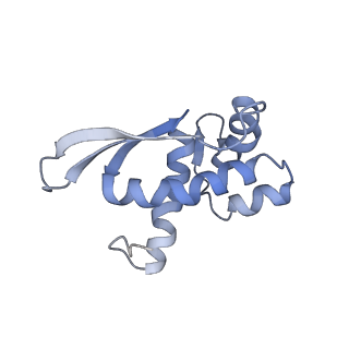 20441_6ppk_N_v1-3
RbgA+45SRbgA complex