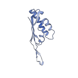 20441_6ppk_S_v1-3
RbgA+45SRbgA complex