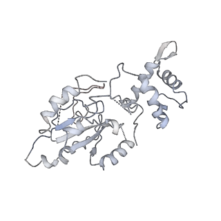 20441_6ppk_W_v1-3
RbgA+45SRbgA complex