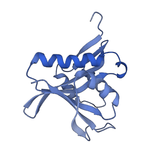 20442_6ppl_A_v1-2
Cryo-EM structure of human NatE complex (NatA/Naa50)