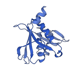 20442_6ppl_C_v1-2
Cryo-EM structure of human NatE complex (NatA/Naa50)