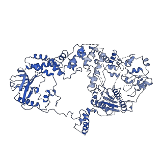 20446_6ppr_A_v1-2
Cryo-EM structure of AdnA(D934A)-AdnB(D1014A) in complex with AMPPNP and DNA