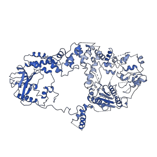 20446_6ppr_A_v1-3
Cryo-EM structure of AdnA(D934A)-AdnB(D1014A) in complex with AMPPNP and DNA