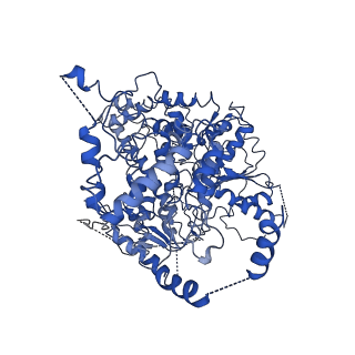 20446_6ppr_B_v1-2
Cryo-EM structure of AdnA(D934A)-AdnB(D1014A) in complex with AMPPNP and DNA