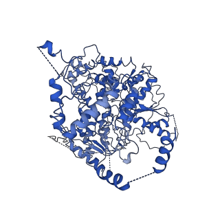 20446_6ppr_B_v1-3
Cryo-EM structure of AdnA(D934A)-AdnB(D1014A) in complex with AMPPNP and DNA