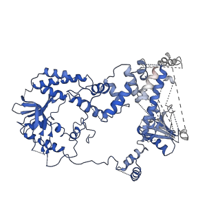 20447_6ppu_A_v1-2
Cryo-EM structure of AdnAB-AMPPNP-DNA complex