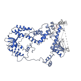 20447_6ppu_A_v1-3
Cryo-EM structure of AdnAB-AMPPNP-DNA complex