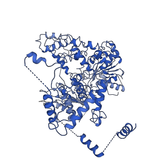 20447_6ppu_B_v1-2
Cryo-EM structure of AdnAB-AMPPNP-DNA complex