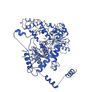 20447_6ppu_B_v1-3
Cryo-EM structure of AdnAB-AMPPNP-DNA complex