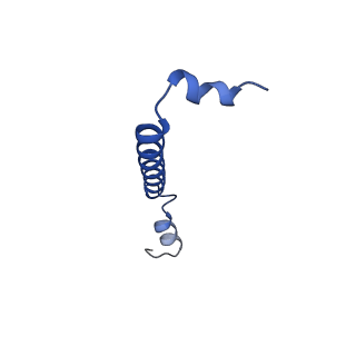 13590_7pqd_AD_v1-1
Cryo-EM structure of the dimeric Rhodobacter sphaeroides RC-LH1 core complex at 2.9 A: the structural basis for dimerisation
