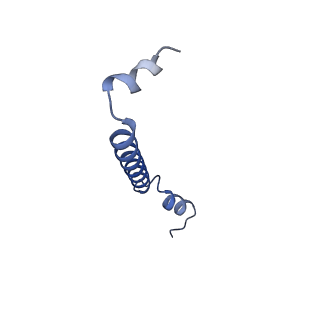13590_7pqd_AF_v1-1
Cryo-EM structure of the dimeric Rhodobacter sphaeroides RC-LH1 core complex at 2.9 A: the structural basis for dimerisation