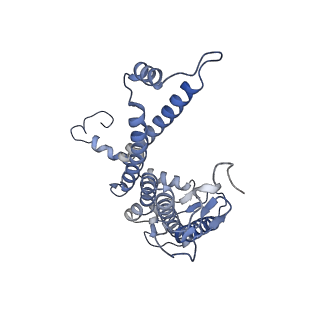 13590_7pqd_L_v1-1
Cryo-EM structure of the dimeric Rhodobacter sphaeroides RC-LH1 core complex at 2.9 A: the structural basis for dimerisation