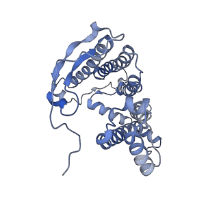 13590_7pqd_M_v1-1
Cryo-EM structure of the dimeric Rhodobacter sphaeroides RC-LH1 core complex at 2.9 A: the structural basis for dimerisation