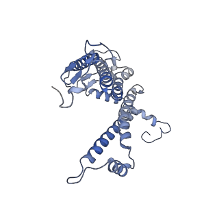13590_7pqd_l_v1-1
Cryo-EM structure of the dimeric Rhodobacter sphaeroides RC-LH1 core complex at 2.9 A: the structural basis for dimerisation