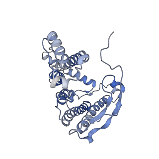13590_7pqd_m_v1-1
Cryo-EM structure of the dimeric Rhodobacter sphaeroides RC-LH1 core complex at 2.9 A: the structural basis for dimerisation