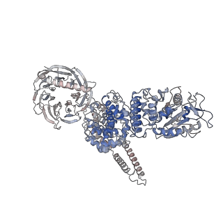 13594_7pqh_A_v1-2
Cryo-EM structure of Saccharomyces cerevisiae TOROID (TORC1 Organized in Inhibited Domains).