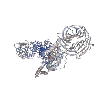 13594_7pqh_B_v1-2
Cryo-EM structure of Saccharomyces cerevisiae TOROID (TORC1 Organized in Inhibited Domains).