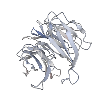 13594_7pqh_C_v1-2
Cryo-EM structure of Saccharomyces cerevisiae TOROID (TORC1 Organized in Inhibited Domains).