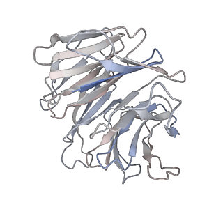13594_7pqh_D_v1-2
Cryo-EM structure of Saccharomyces cerevisiae TOROID (TORC1 Organized in Inhibited Domains).