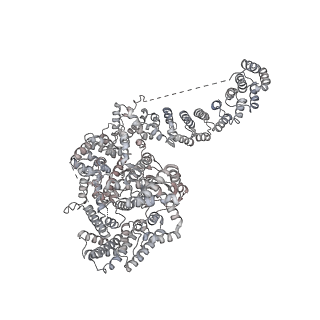 13594_7pqh_H_v1-2
Cryo-EM structure of Saccharomyces cerevisiae TOROID (TORC1 Organized in Inhibited Domains).