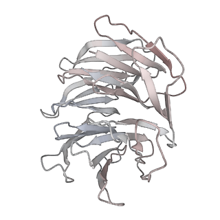 13594_7pqh_I_v1-2
Cryo-EM structure of Saccharomyces cerevisiae TOROID (TORC1 Organized in Inhibited Domains).
