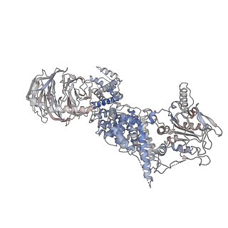 13594_7pqh_J_v1-2
Cryo-EM structure of Saccharomyces cerevisiae TOROID (TORC1 Organized in Inhibited Domains).