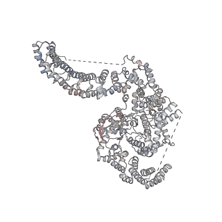 13594_7pqh_K_v1-2
Cryo-EM structure of Saccharomyces cerevisiae TOROID (TORC1 Organized in Inhibited Domains).