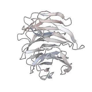 13594_7pqh_L_v1-2
Cryo-EM structure of Saccharomyces cerevisiae TOROID (TORC1 Organized in Inhibited Domains).