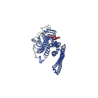 13606_7pqx_A_v1-0
Structure of CtAtm1 in the inward-facing open conformation