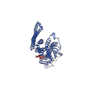 13606_7pqx_B_v1-0
Structure of CtAtm1 in the inward-facing open conformation