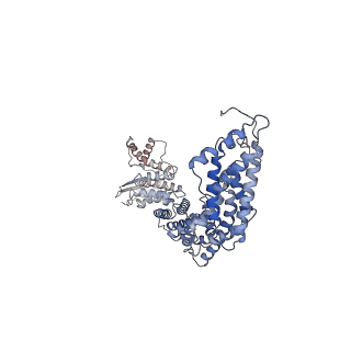 17822_8pql_A_v1-2
K48-linked ubiquitin chain formation with a cullin-RING E3 ligase and Cdc34: NEDD8-CUL2-RBX1-ELOB/C-FEM1C with trapped UBE2R2-donor UB-acceptor UB-SIL1 peptide