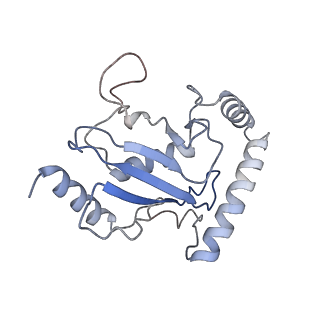 17822_8pql_C_v1-2
K48-linked ubiquitin chain formation with a cullin-RING E3 ligase and Cdc34: NEDD8-CUL2-RBX1-ELOB/C-FEM1C with trapped UBE2R2-donor UB-acceptor UB-SIL1 peptide