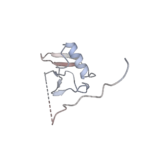 17822_8pql_E_v1-2
K48-linked ubiquitin chain formation with a cullin-RING E3 ligase and Cdc34: NEDD8-CUL2-RBX1-ELOB/C-FEM1C with trapped UBE2R2-donor UB-acceptor UB-SIL1 peptide