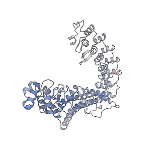 17822_8pql_H_v1-2
K48-linked ubiquitin chain formation with a cullin-RING E3 ligase and Cdc34: NEDD8-CUL2-RBX1-ELOB/C-FEM1C with trapped UBE2R2-donor UB-acceptor UB-SIL1 peptide