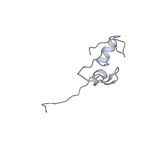 17822_8pql_K_v1-2
K48-linked ubiquitin chain formation with a cullin-RING E3 ligase and Cdc34: NEDD8-CUL2-RBX1-ELOB/C-FEM1C with trapped UBE2R2-donor UB-acceptor UB-SIL1 peptide