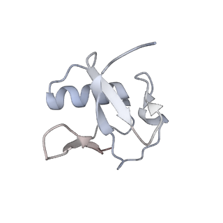 17822_8pql_U_v1-2
K48-linked ubiquitin chain formation with a cullin-RING E3 ligase and Cdc34: NEDD8-CUL2-RBX1-ELOB/C-FEM1C with trapped UBE2R2-donor UB-acceptor UB-SIL1 peptide