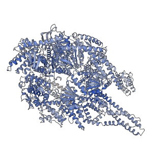 17825_8pqv_A_v1-0
Cytoplasmic dynein-1 motor domain in post-powerstroke state