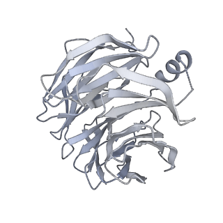 17826_8pqw_B_v1-0
Cytoplasmic dynein-1 motor domain bound to dynactin-p150glued and LIS1