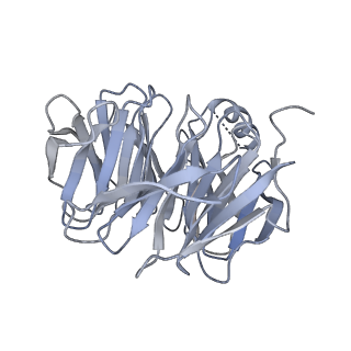 17826_8pqw_C_v1-0
Cytoplasmic dynein-1 motor domain bound to dynactin-p150glued and LIS1