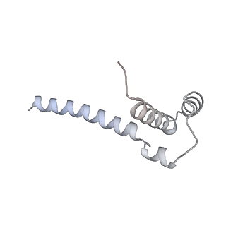 17826_8pqw_D_v1-0
Cytoplasmic dynein-1 motor domain bound to dynactin-p150glued and LIS1