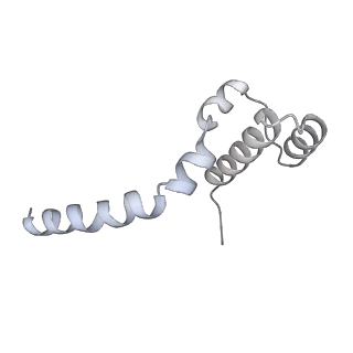 17826_8pqw_E_v1-0
Cytoplasmic dynein-1 motor domain bound to dynactin-p150glued and LIS1