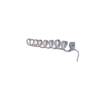 17826_8pqw_H_v1-0
Cytoplasmic dynein-1 motor domain bound to dynactin-p150glued and LIS1