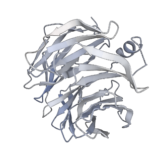 17828_8pqy_B_v1-0
Cytoplasmic dynein-1 motor domain bound to LIS1